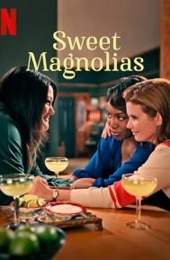 Sweet Magnolias Season 4 poster